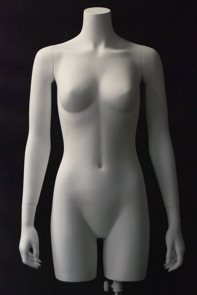 Female Torso - Las Vegas Mannequins