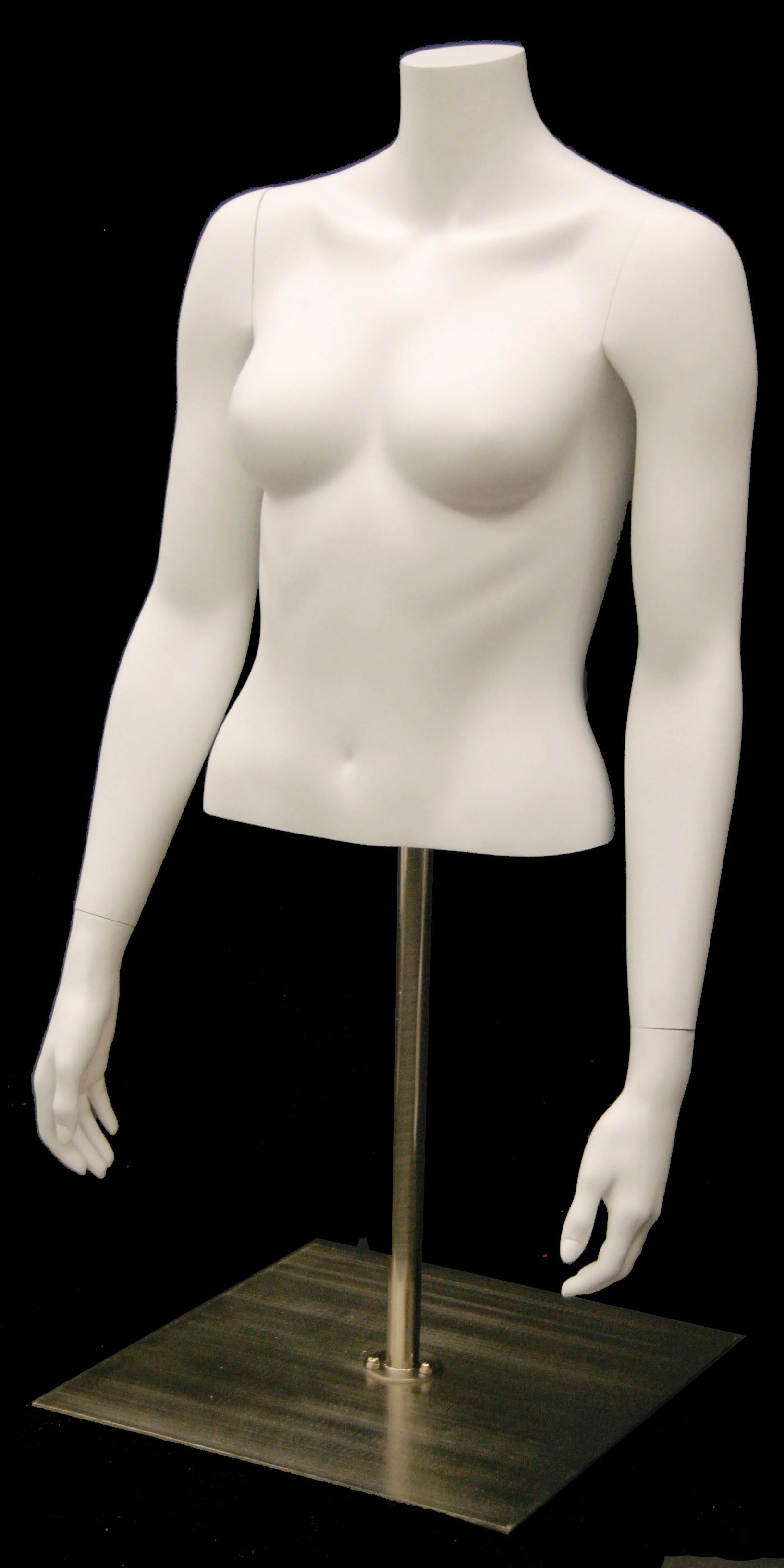 Male 3/4 Torso W/Head - Las Vegas Mannequins